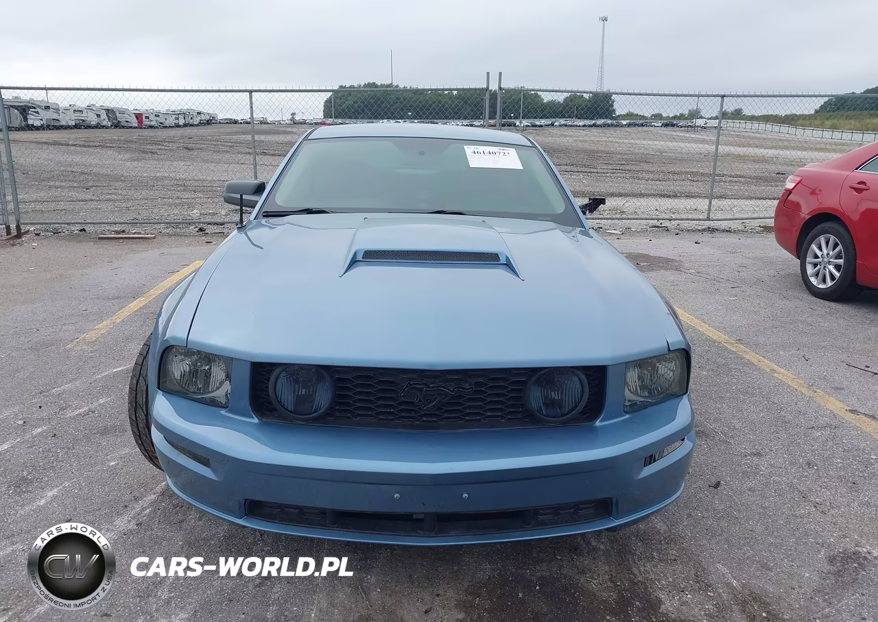 2006 Ford Mustang Gt VIN:1ZVFT82H265152146 - 12