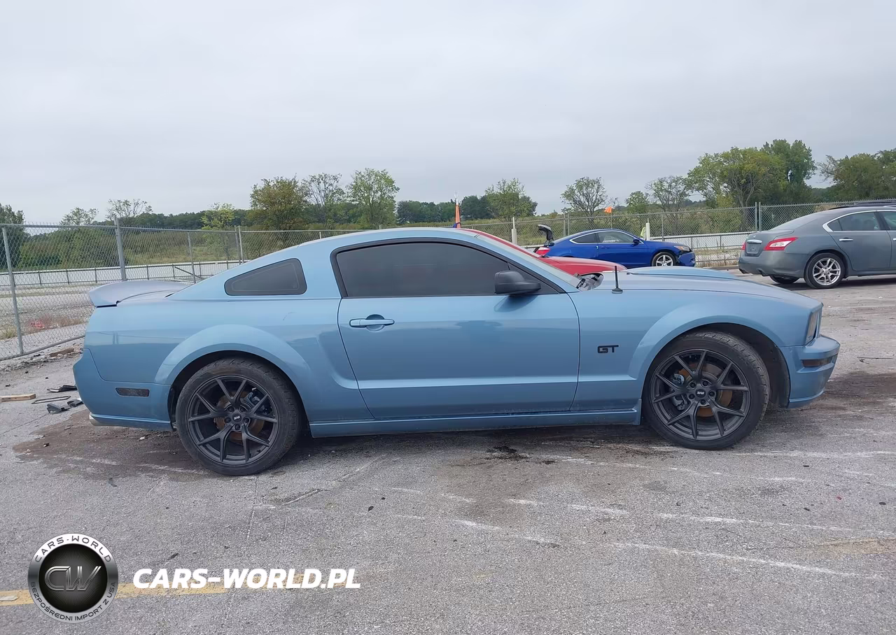 2006 Ford Mustang Gt VIN:1ZVFT82H265152146 - 13