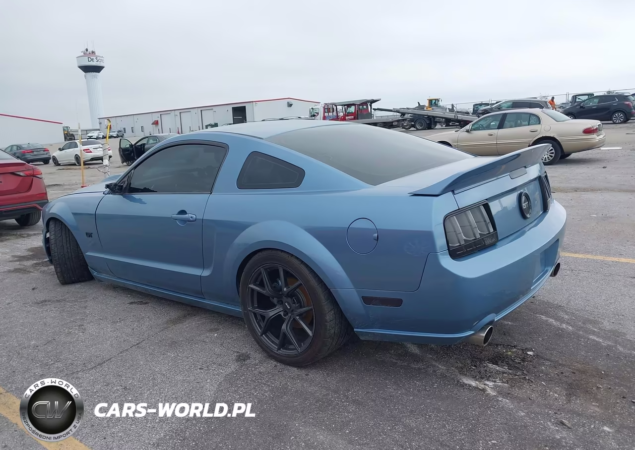 2006 Ford Mustang Gt VIN:1ZVFT82H265152146 - 16