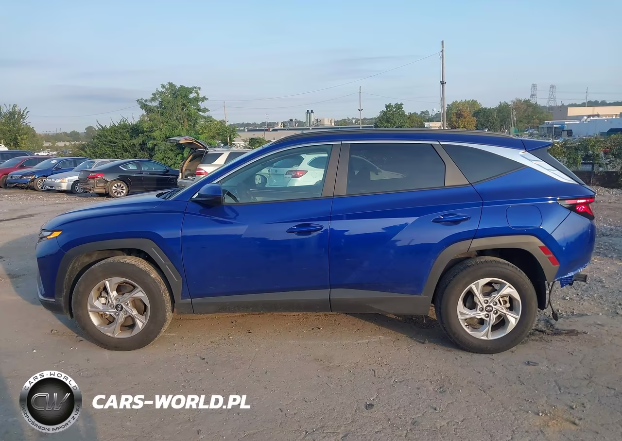 2024 Hyundai Tucson Sel VIN:5NMJBCDE2RH365766 - 14
