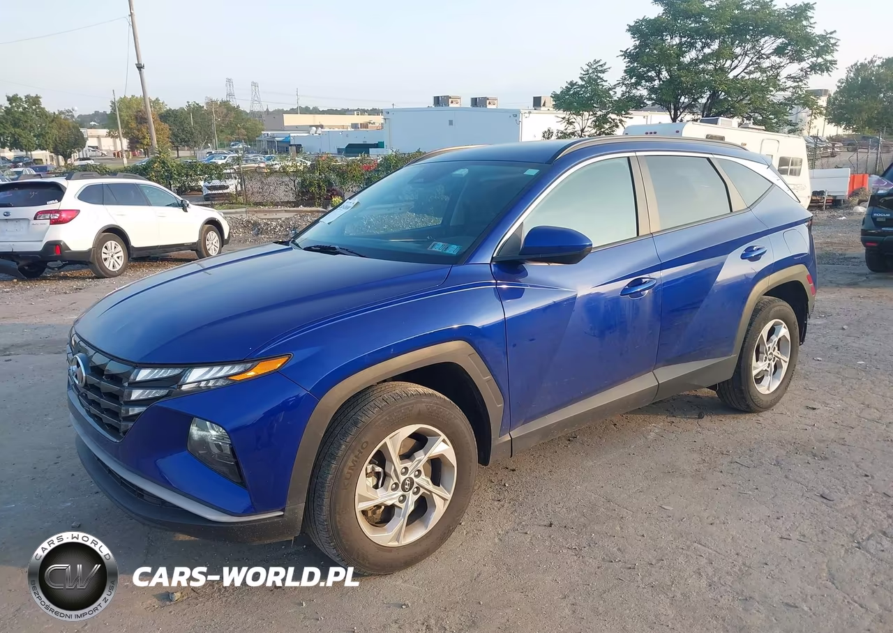 2024 Hyundai Tucson Sel VIN:5NMJBCDE2RH365766 - 2