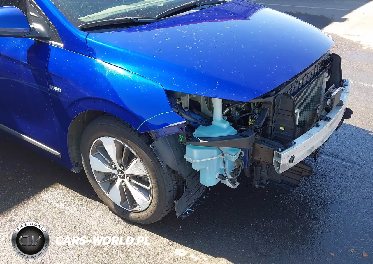 2019 Hyundai Ioniq Plug-In Hybrid Limited VIN:KMHC75LD8KU114887 - 18