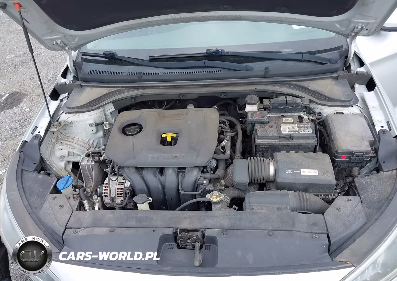 2019 Hyundai Elantra Sel VIN:5NPD84LF8KH418734 - 10