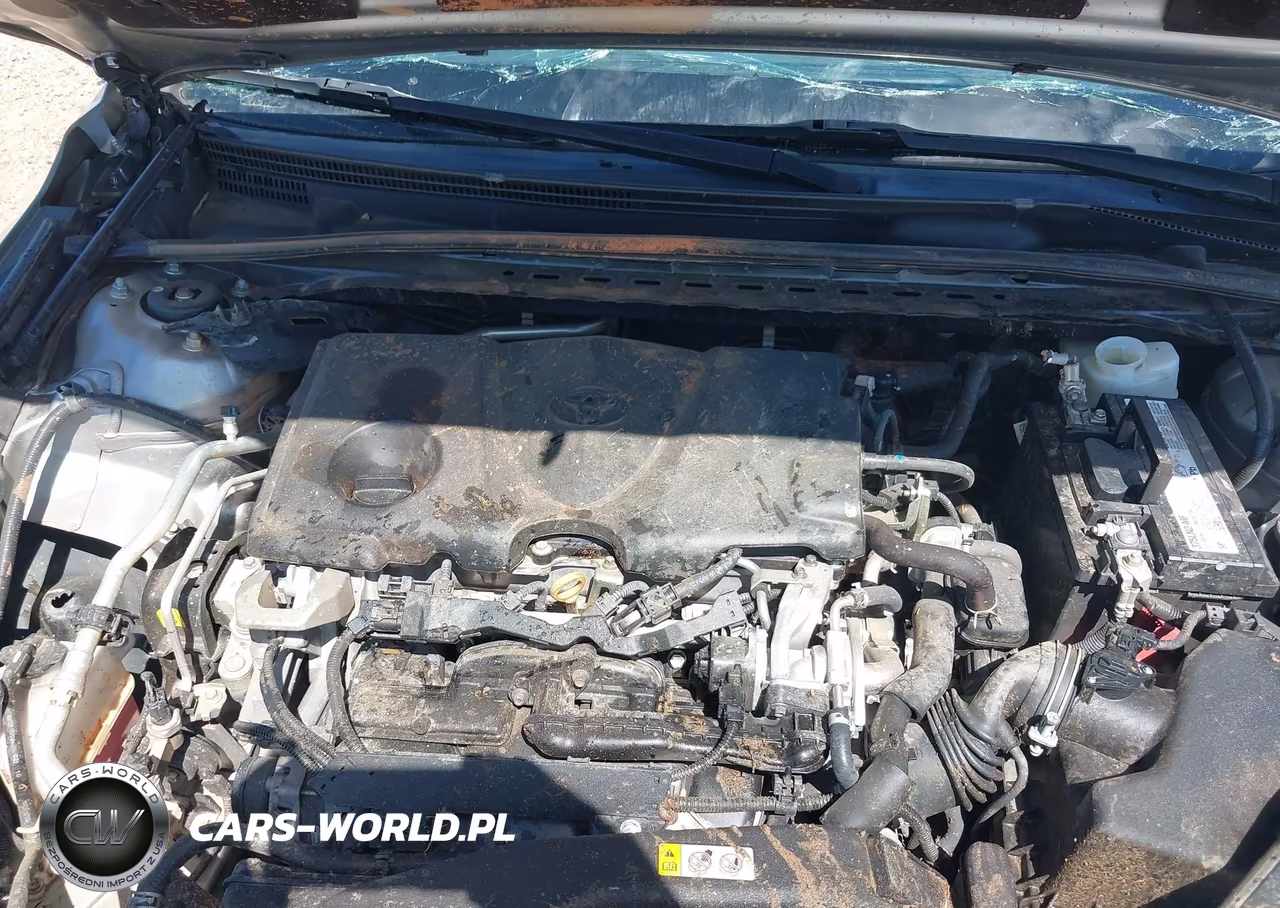 2019 Toyota Camry Le VIN:4T1B11HK7KU782211 - 10
