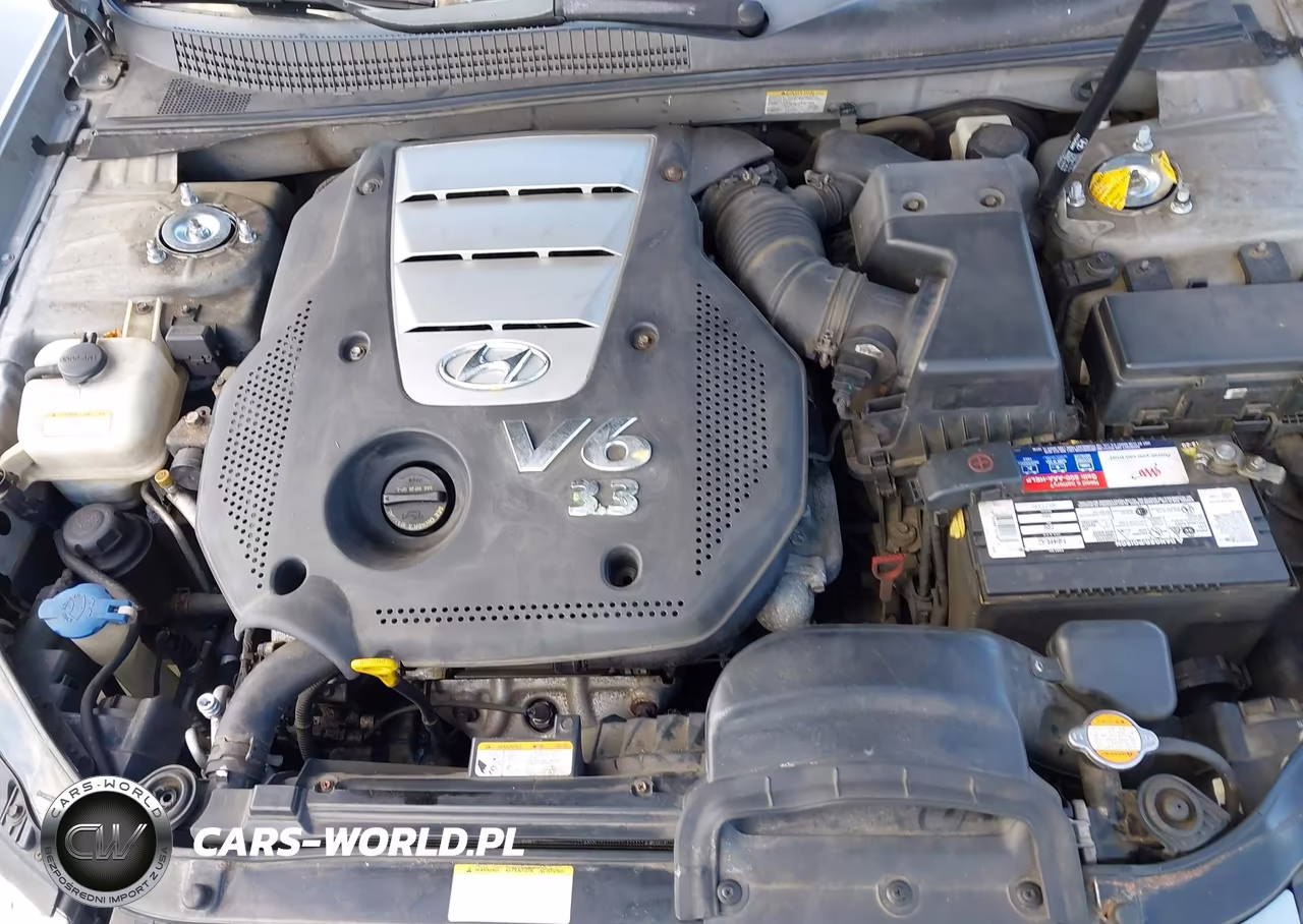 2006 Hyundai Sonata Gls V6-Lx V6 VIN:5NPEU46F56H087855 - 10