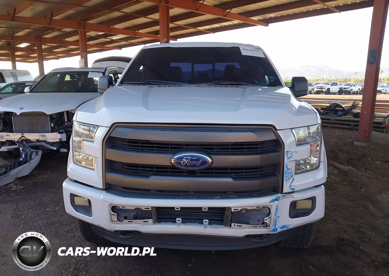 2015 Ford F-150 Xlt VIN:1FTEW1EG5FKD58465 - 12