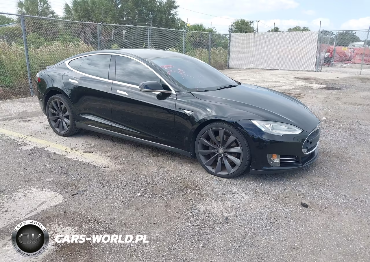 2013 Tesla Model S Performance VIN:5YJSA1CP5DFP12726 - 1