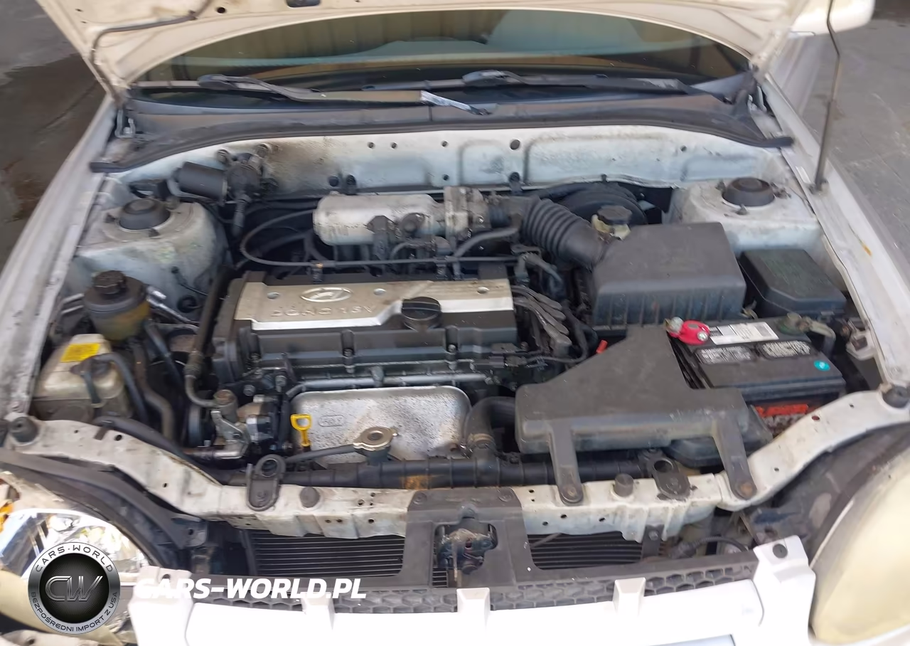 2005 Hyundai Accent Gls-Gt VIN:KMHCG35C35U328229 - 10