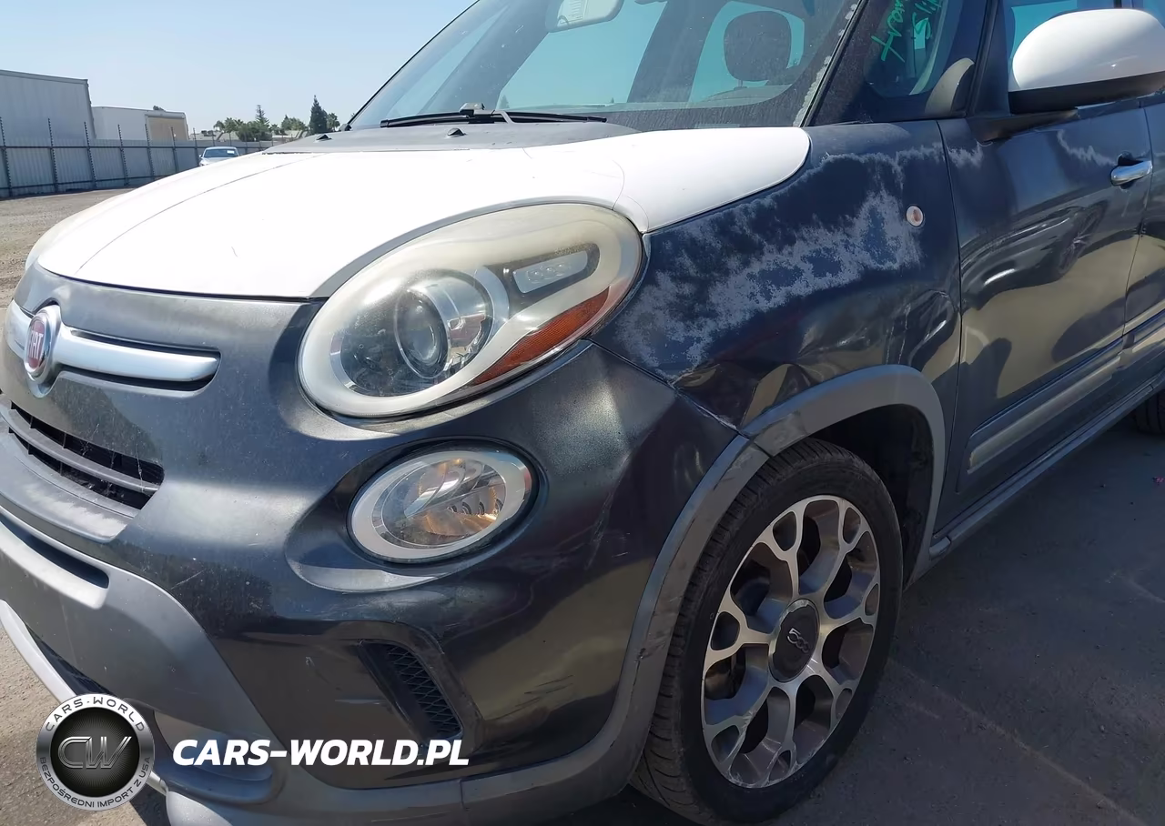 2014 Fiat 500L Trekking VIN:ZFBCFADH8EZ008421 - 6