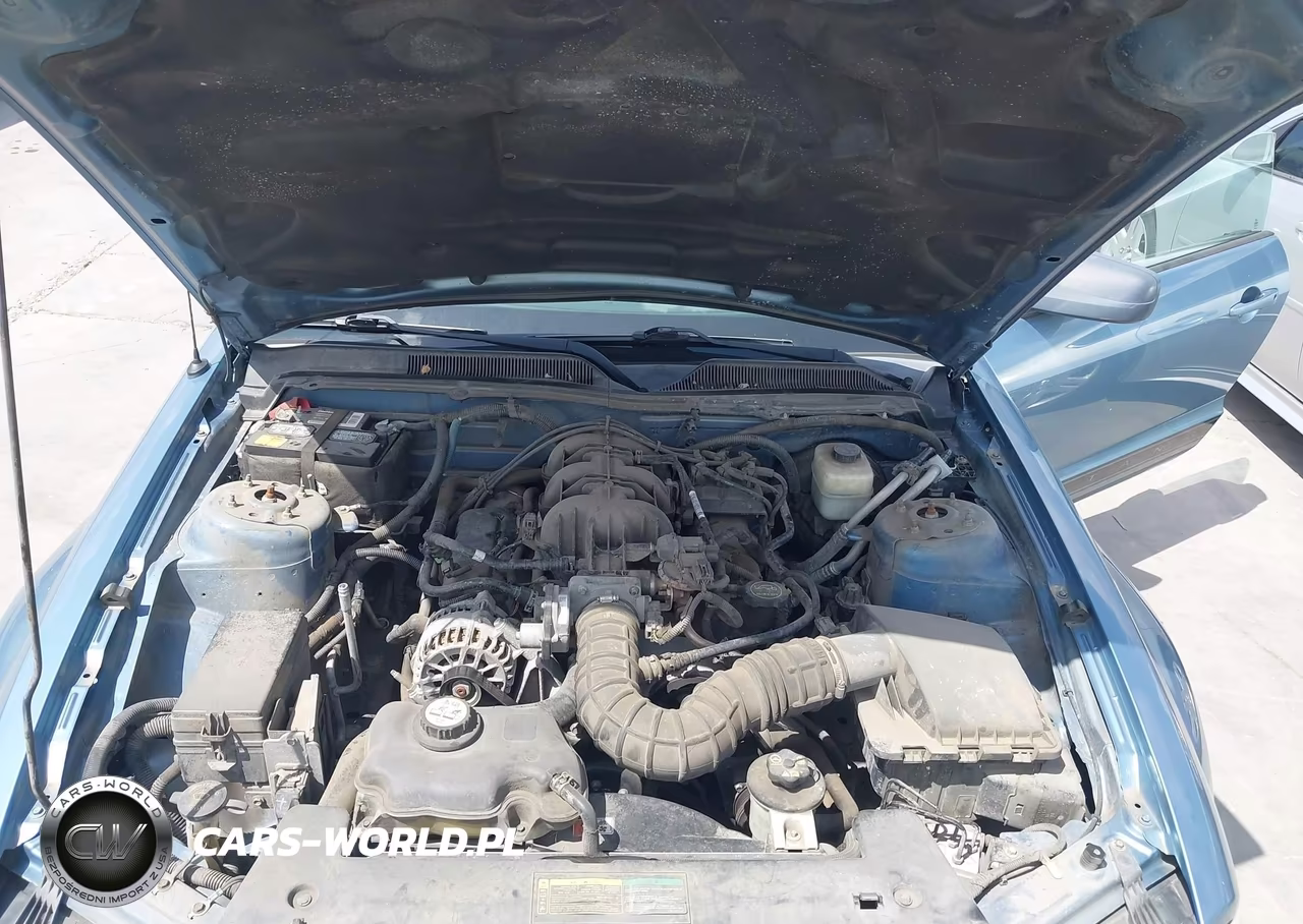 2007 Ford Mustang V6 Deluxe-V6 Premium VIN:1ZVFT80N375320273 - 10
