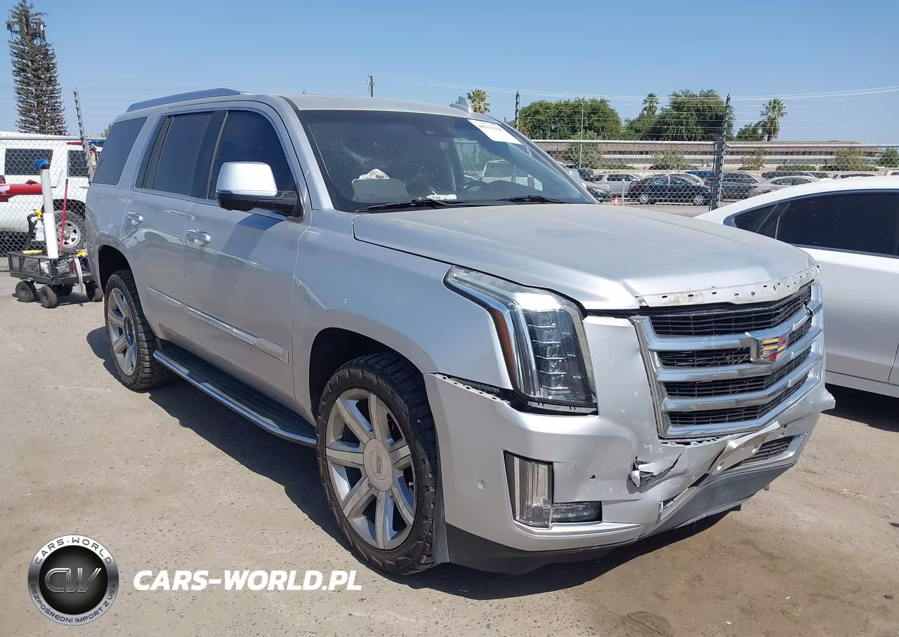 2017 Cadillac Escalade Luxury VIN:1GYS3BKJ9HR360046 - 1