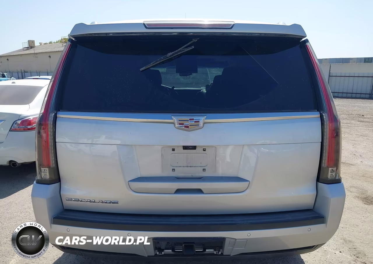 2017 Cadillac Escalade Luxury VIN:1GYS3BKJ9HR360046 - 19