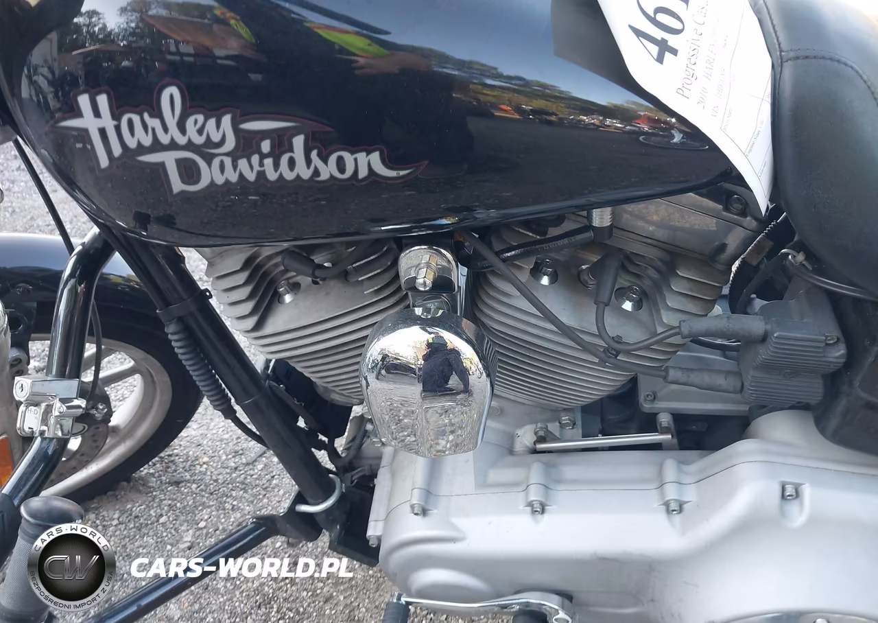 2010 Harley-Davidson Fxd VIN:1HD1GM411AC318489 - 9