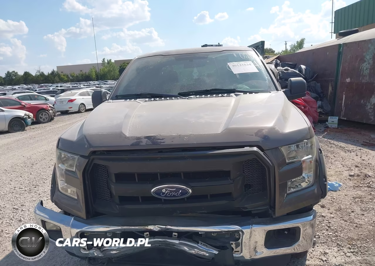 2016 Ford F-150 Xl VIN:1FTEX1E83GKF80204 - 12