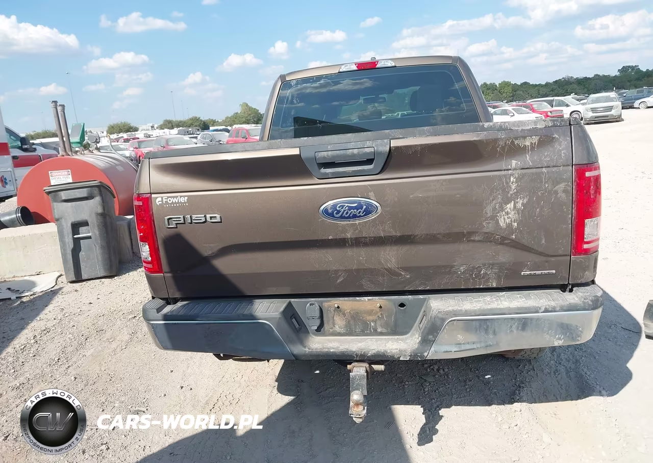 2016 Ford F-150 Xl VIN:1FTEX1E83GKF80204 - 16