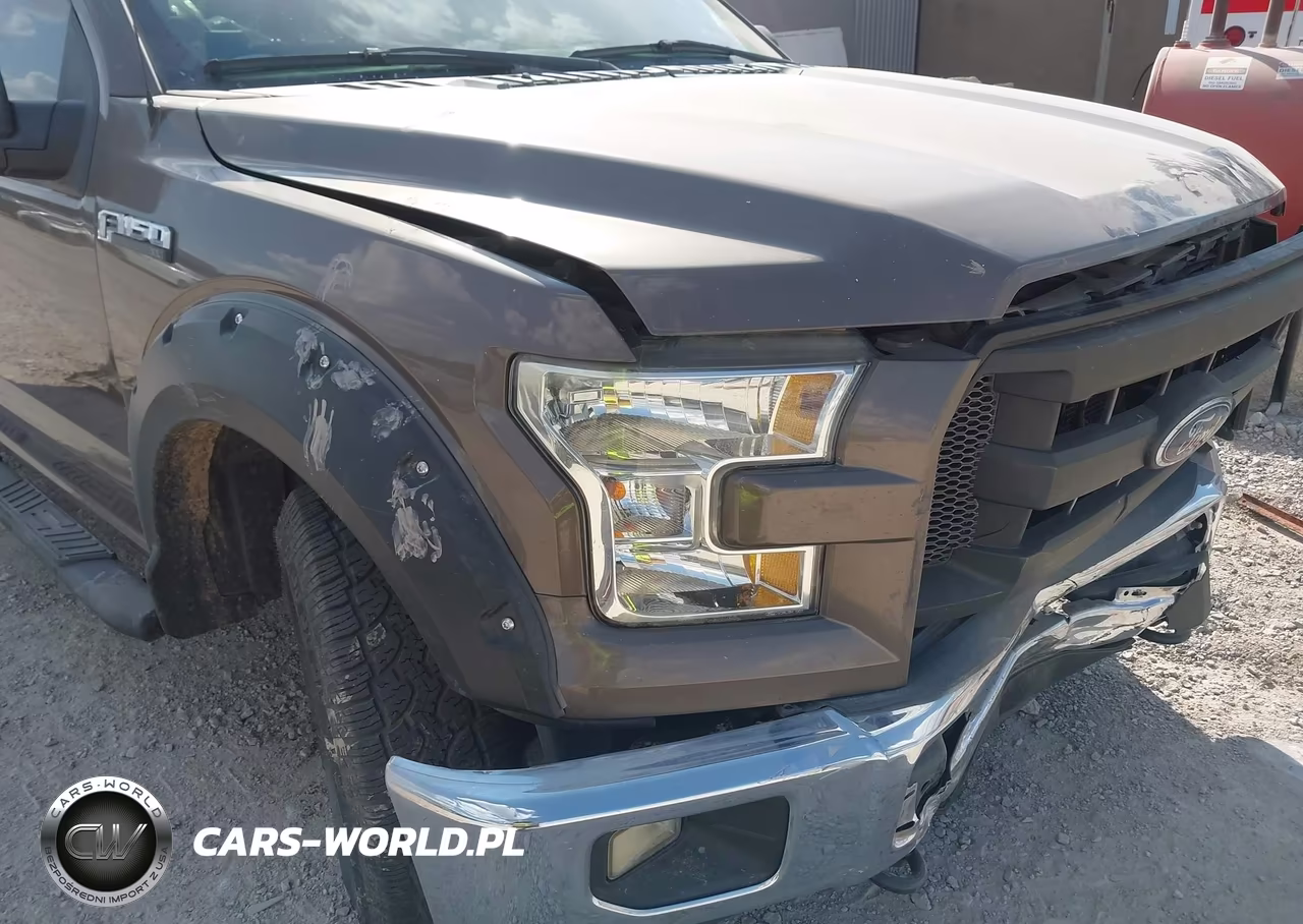 2016 Ford F-150 Xl VIN:1FTEX1E83GKF80204 - 6