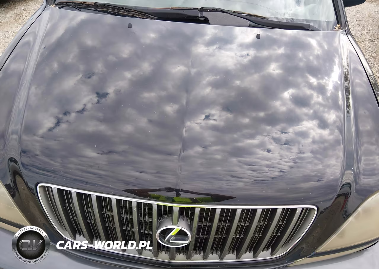 1999 Lexus Rx 300 VIN:JT6HF10U6X0073014 - 10