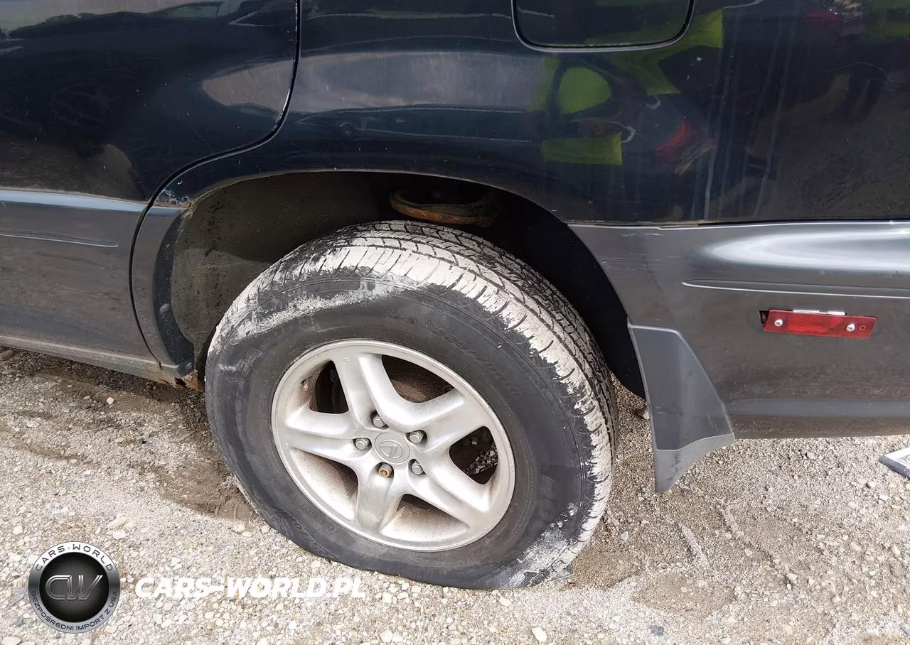 1999 Lexus Rx 300 VIN:JT6HF10U6X0073014 - 14
