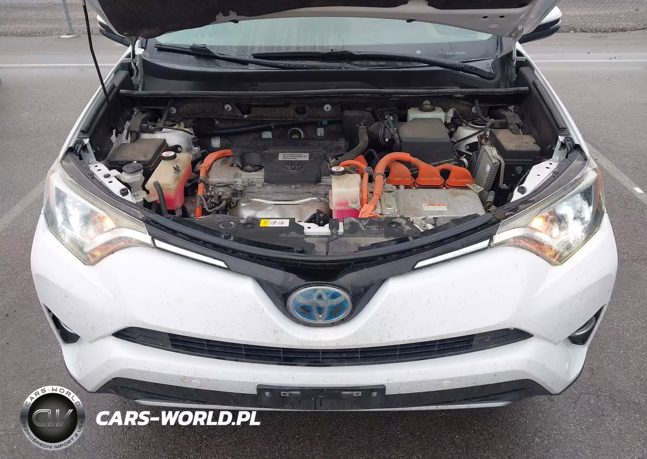 2018 Toyota Rav4 Hybrid Xle VIN:JTMRJREV5JD158938 - 10