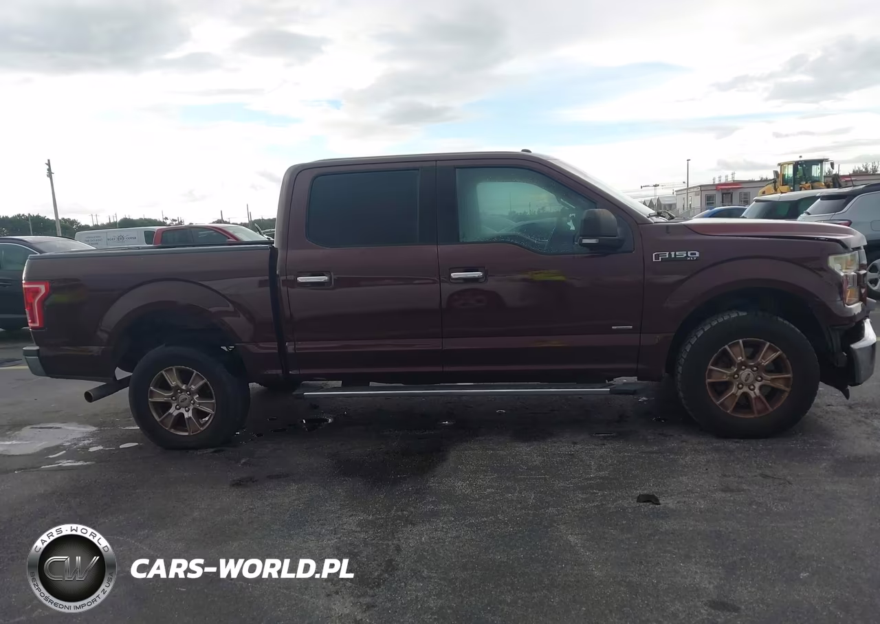 2015 Ford F-150 Xlt VIN:1FTEW1EGXFKE45312 - 12