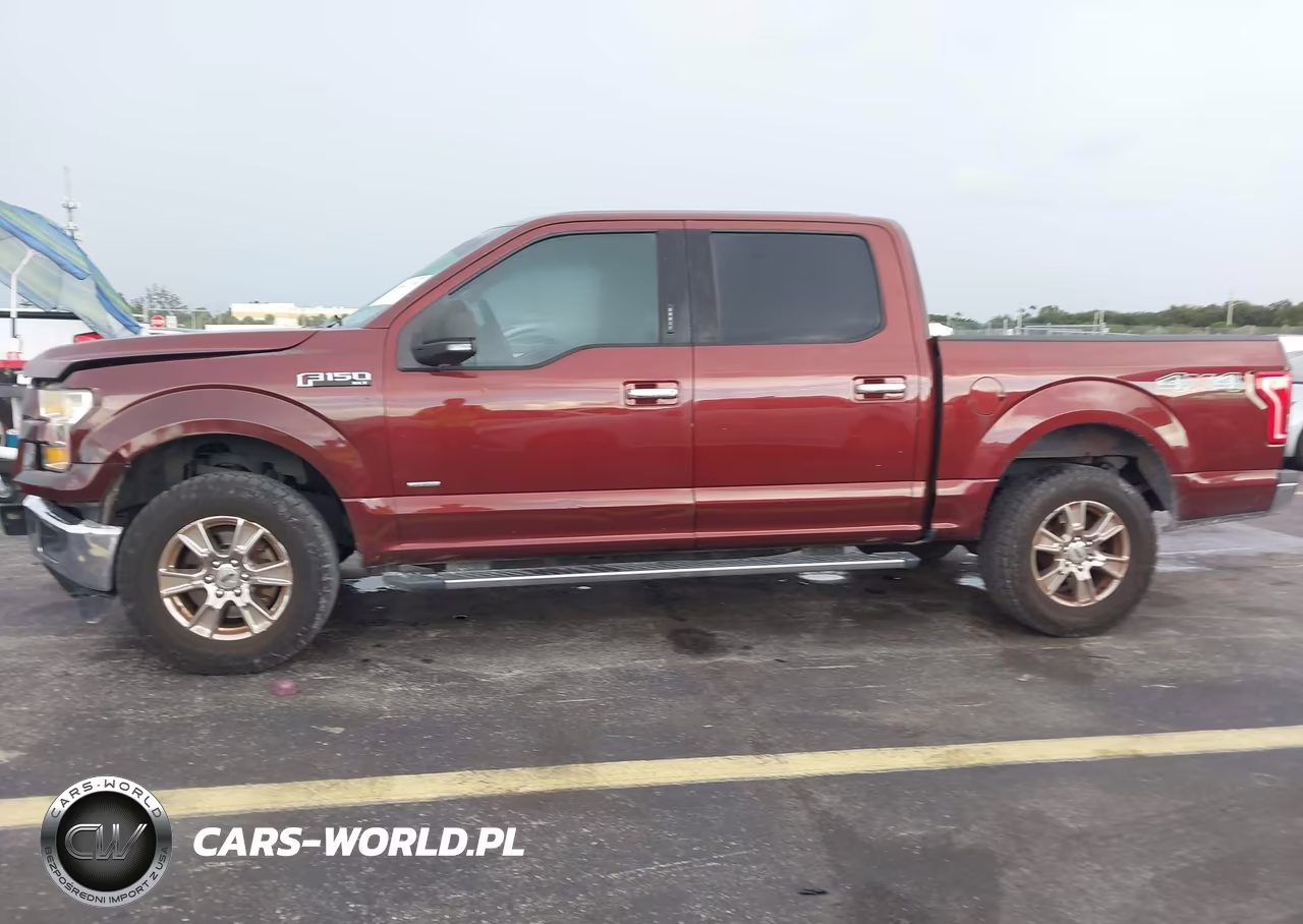 2015 Ford F-150 Xlt VIN:1FTEW1EGXFKE45312 - 13