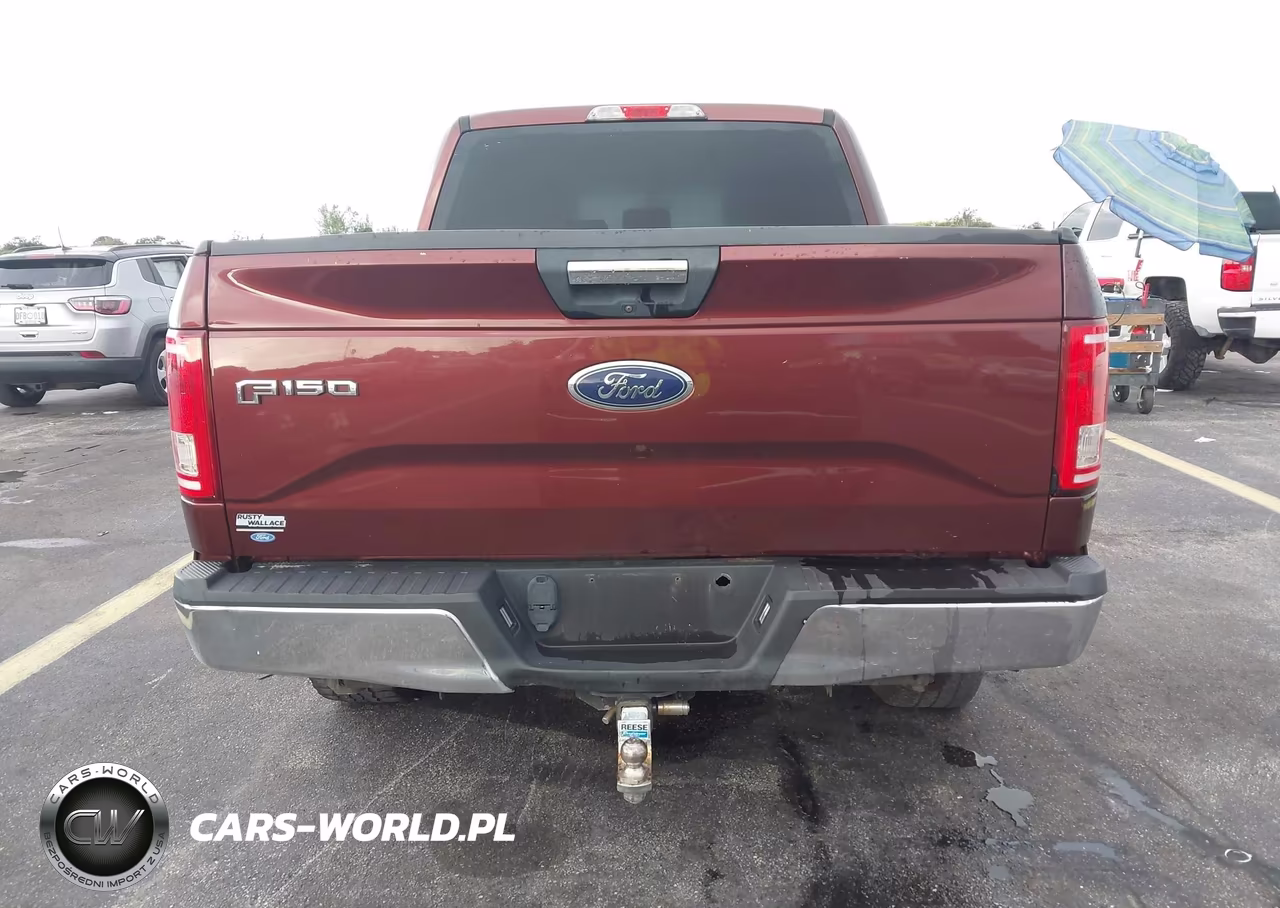 2015 Ford F-150 Xlt VIN:1FTEW1EGXFKE45312 - 15