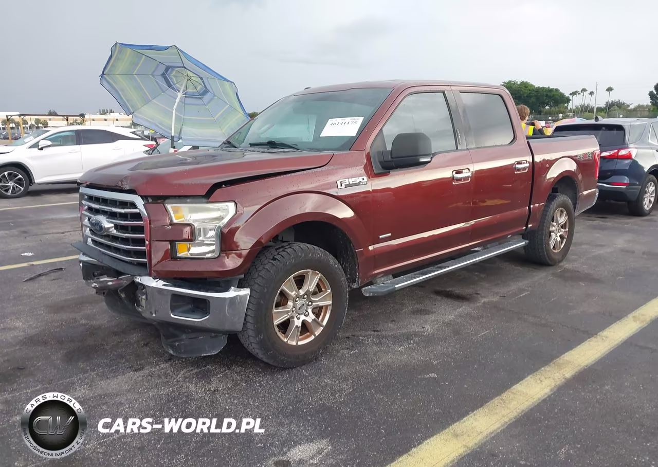 2015 Ford F-150 Xlt VIN:1FTEW1EGXFKE45312 - 2