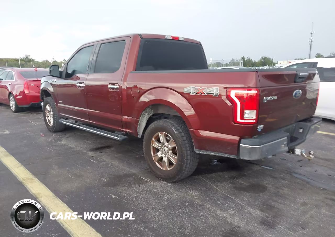 2015 Ford F-150 Xlt VIN:1FTEW1EGXFKE45312 - 3