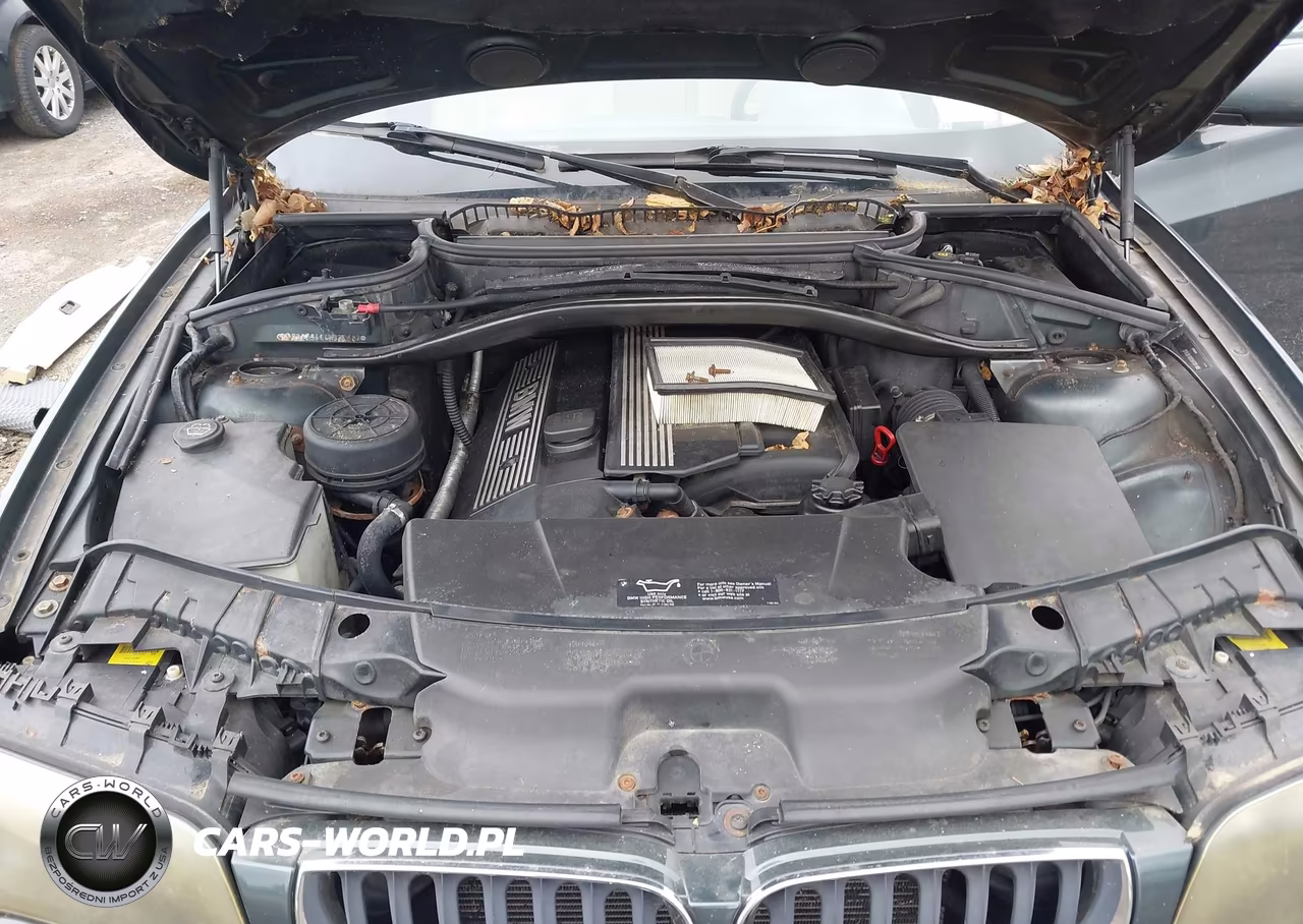 2004 BMW X3 2.5I VIN:WBXPA73464WB26097 - 10