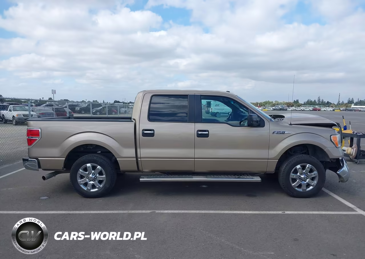 2013 Ford F-150 Xlt VIN:1FTFW1CFXDKE66558 - 14