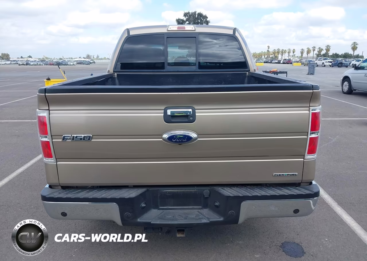 2013 Ford F-150 Xlt VIN:1FTFW1CFXDKE66558 - 17