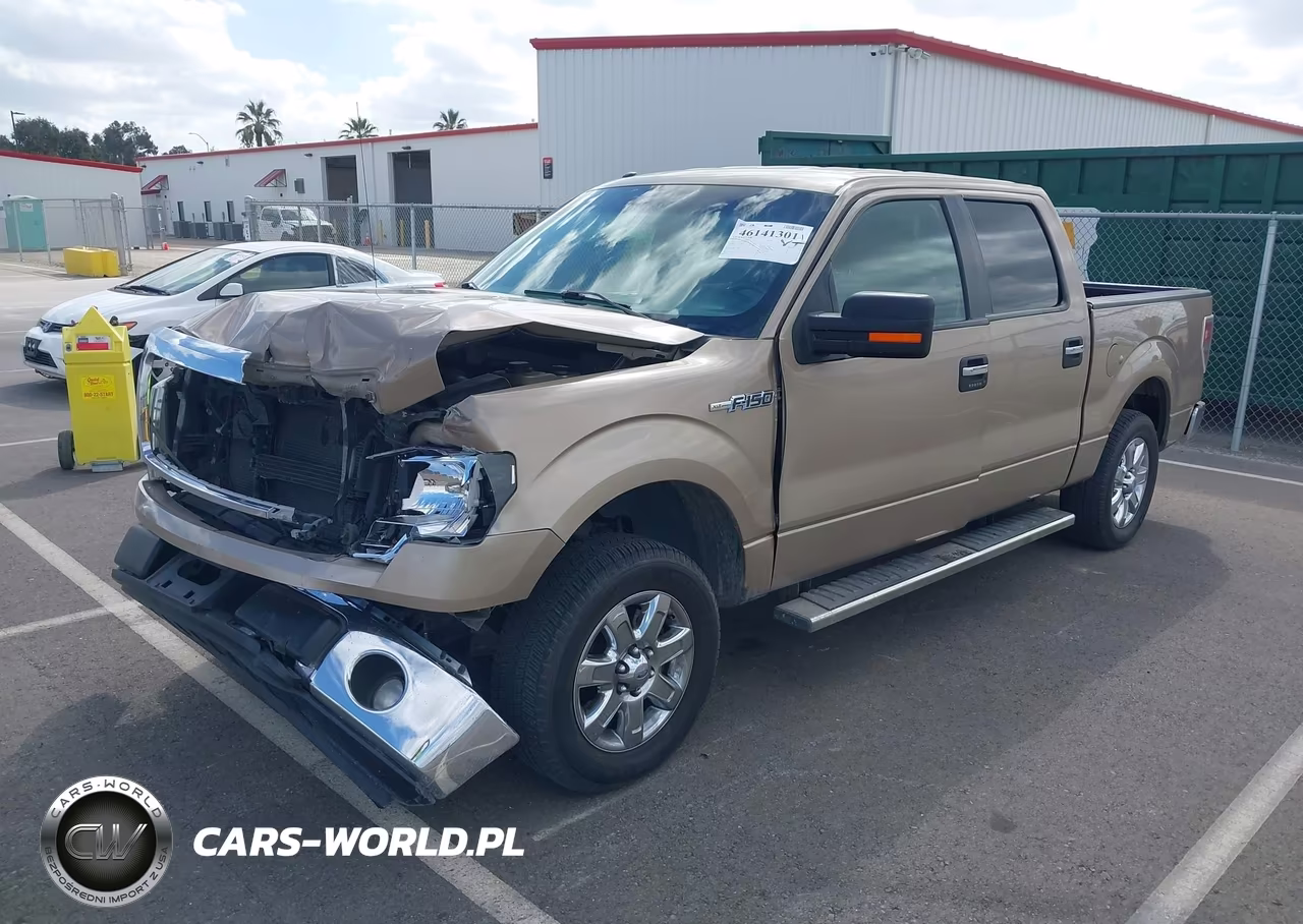 2013 Ford F-150 Xlt VIN:1FTFW1CFXDKE66558 - 2