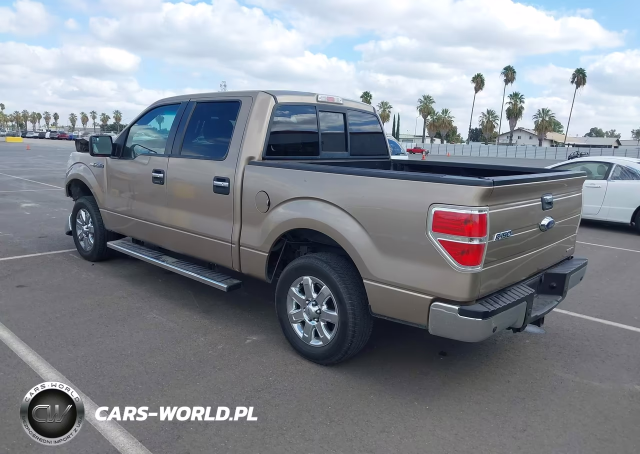 2013 Ford F-150 Xlt VIN:1FTFW1CFXDKE66558 - 3