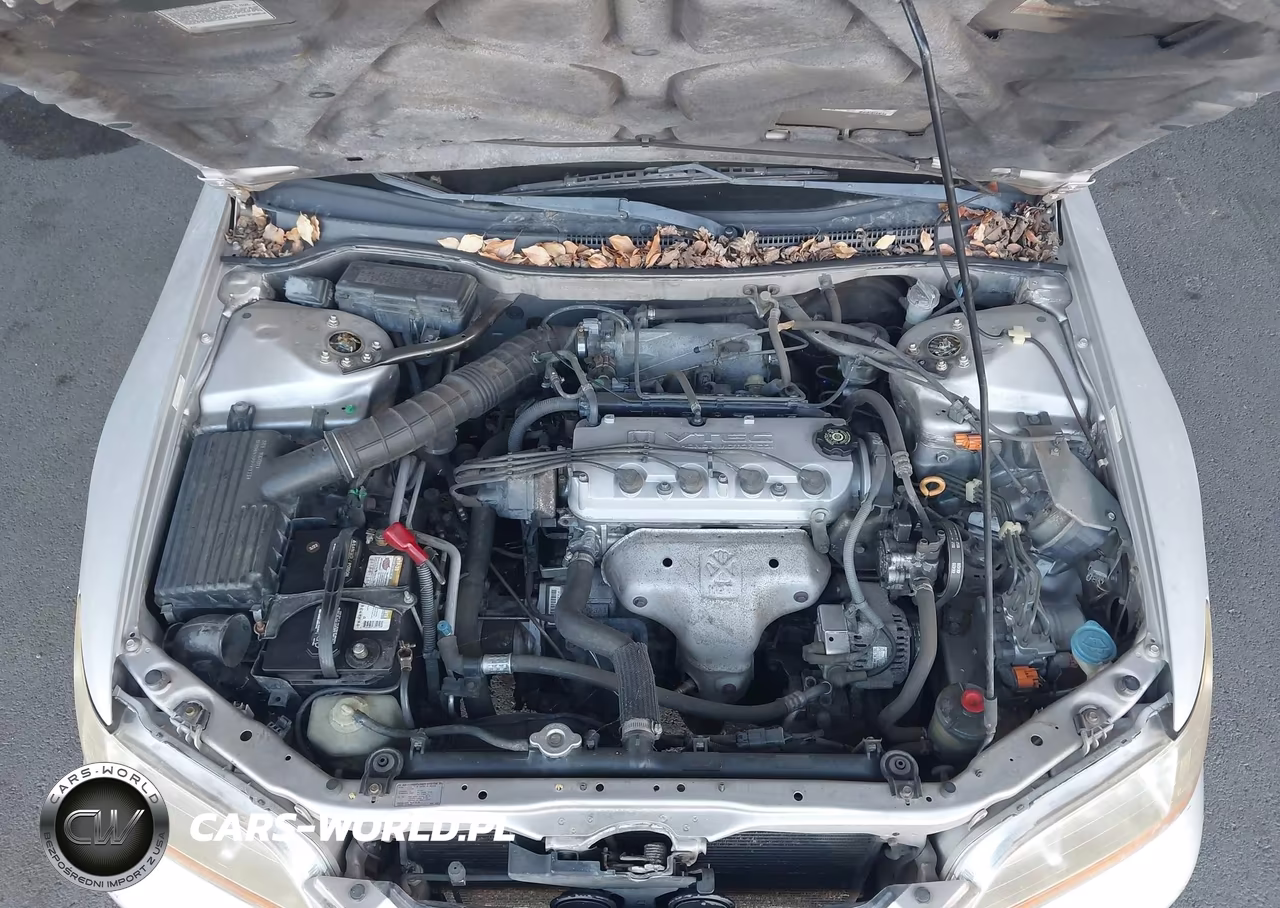 1998 Honda Accord Ex VIN:1HGCG5554WA239338 - 10
