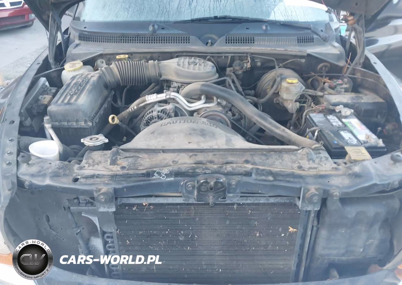 1999 Dodge Dakota Slt-Sport VIN:1B7GL22X1XS246954 - 10