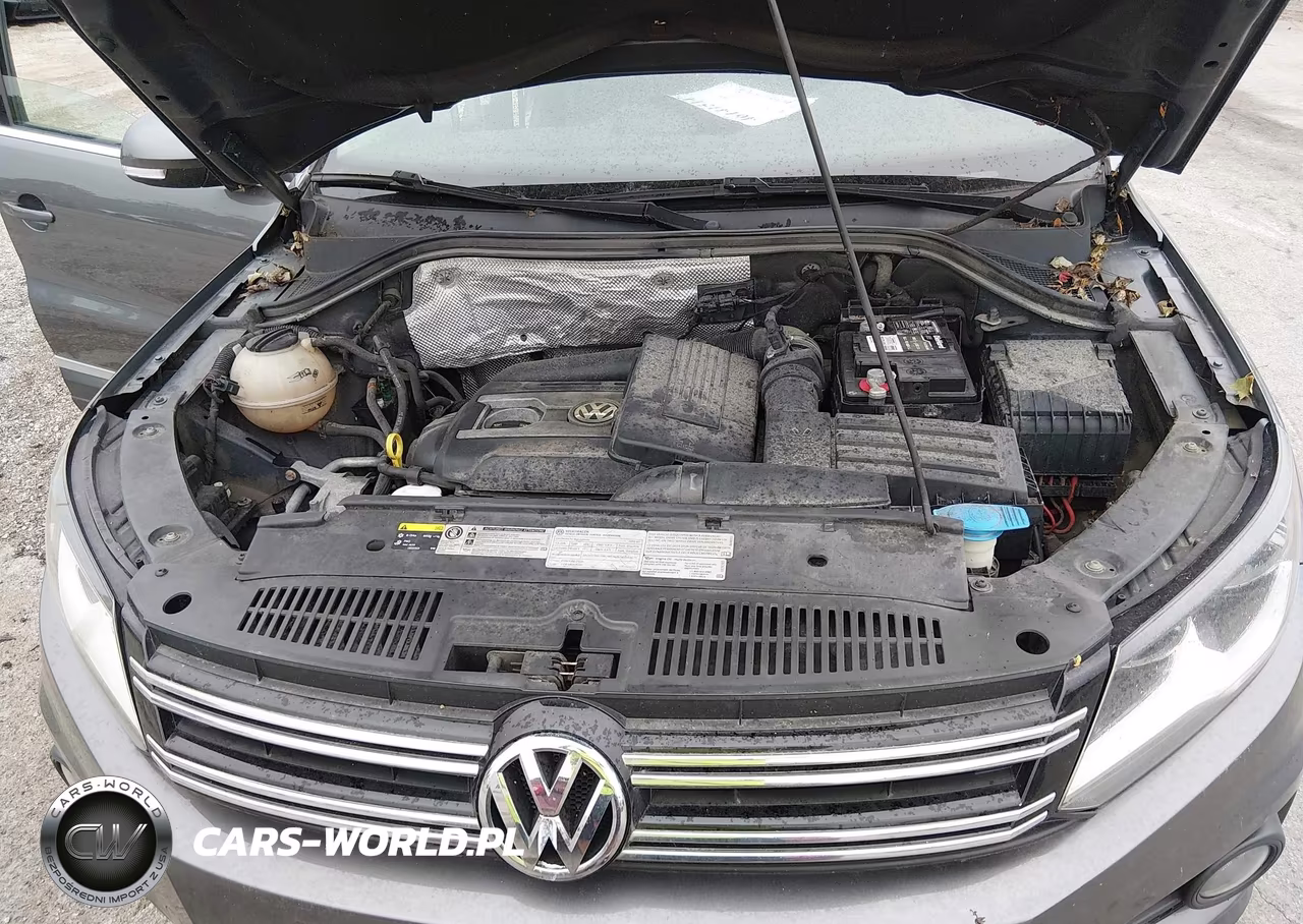 2014 Volkswagen Tiguan Sel VIN:WVGBV3AX3EW573319 - 10