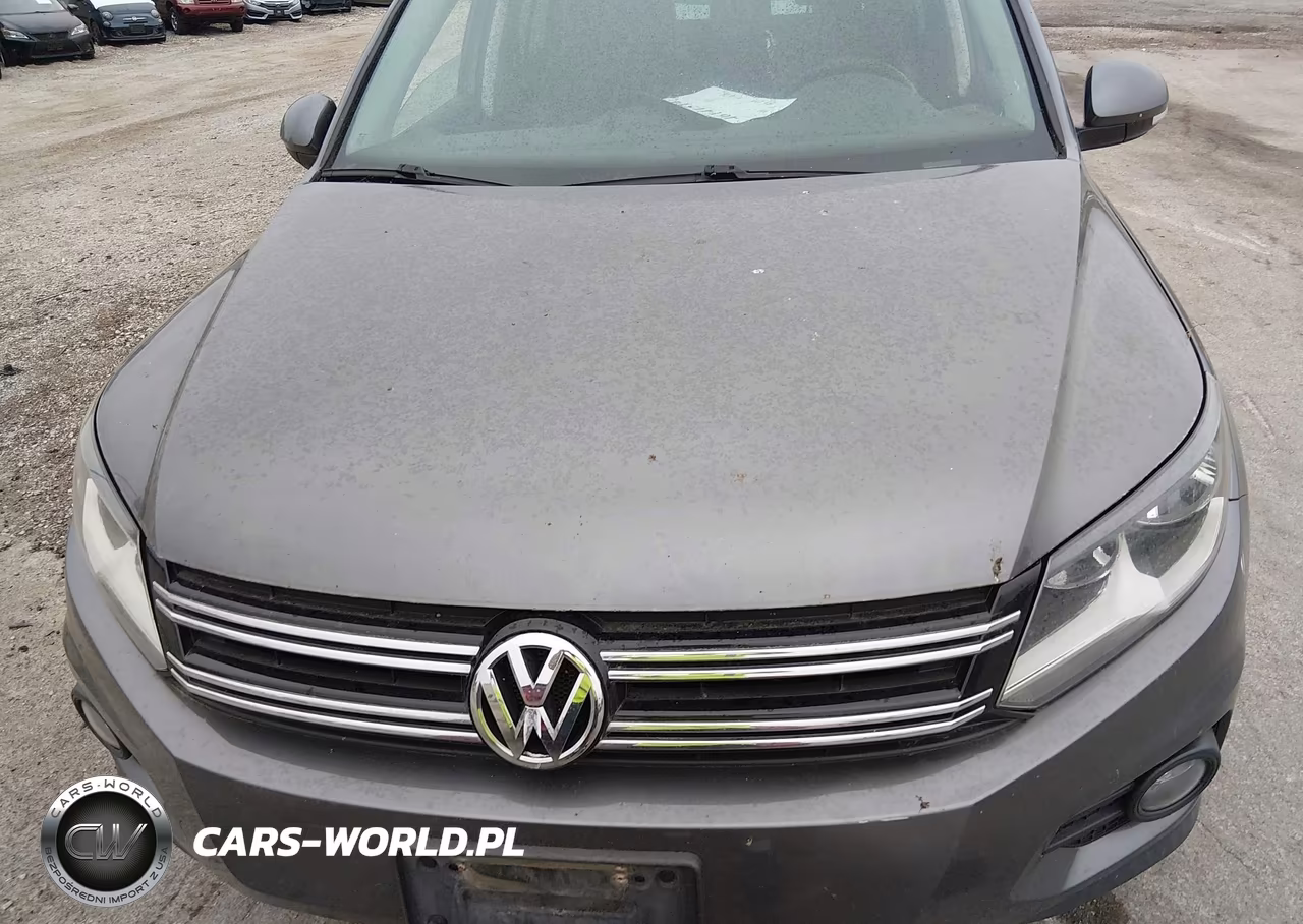 2014 Volkswagen Tiguan Sel VIN:WVGBV3AX3EW573319 - 6