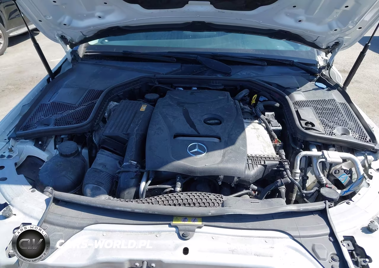 2017 Mercedes-Benz C 300 VIN:55SWF4JBXHU191387 - 10