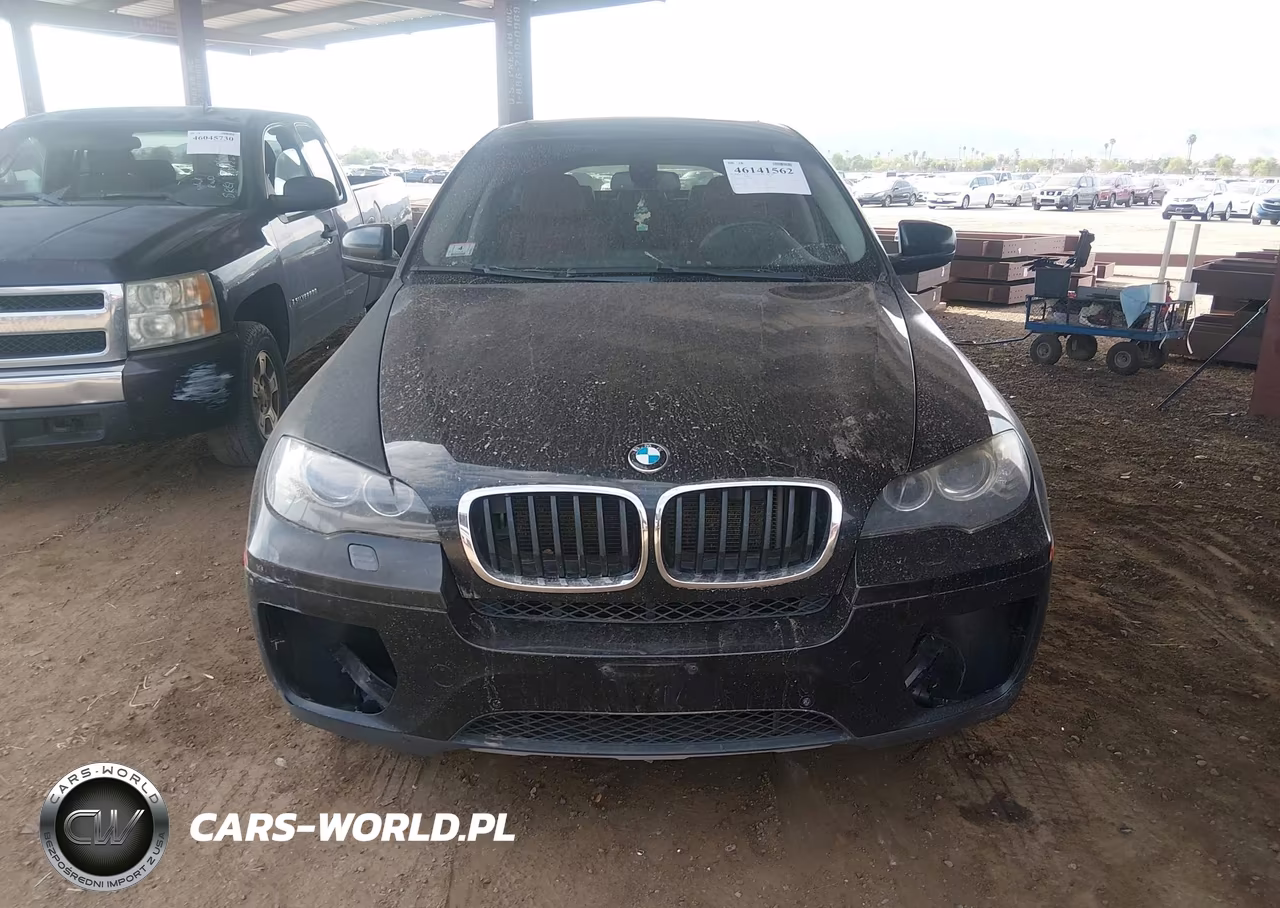 2013 BMW X6 xDrive35I VIN:5UXFG2C55DL784865 - 11
