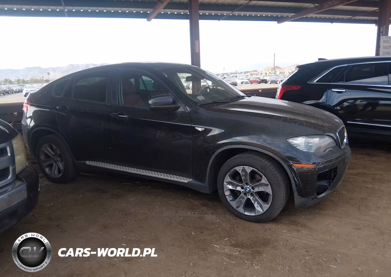 2013 BMW X6 xDrive35I VIN:5UXFG2C55DL784865 - 12