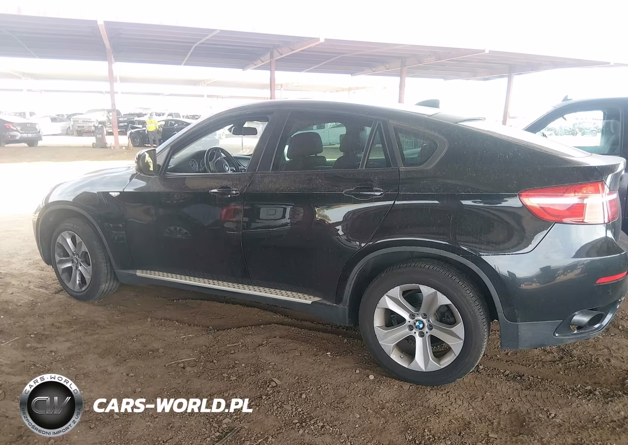 2013 BMW X6 xDrive35I VIN:5UXFG2C55DL784865 - 13
