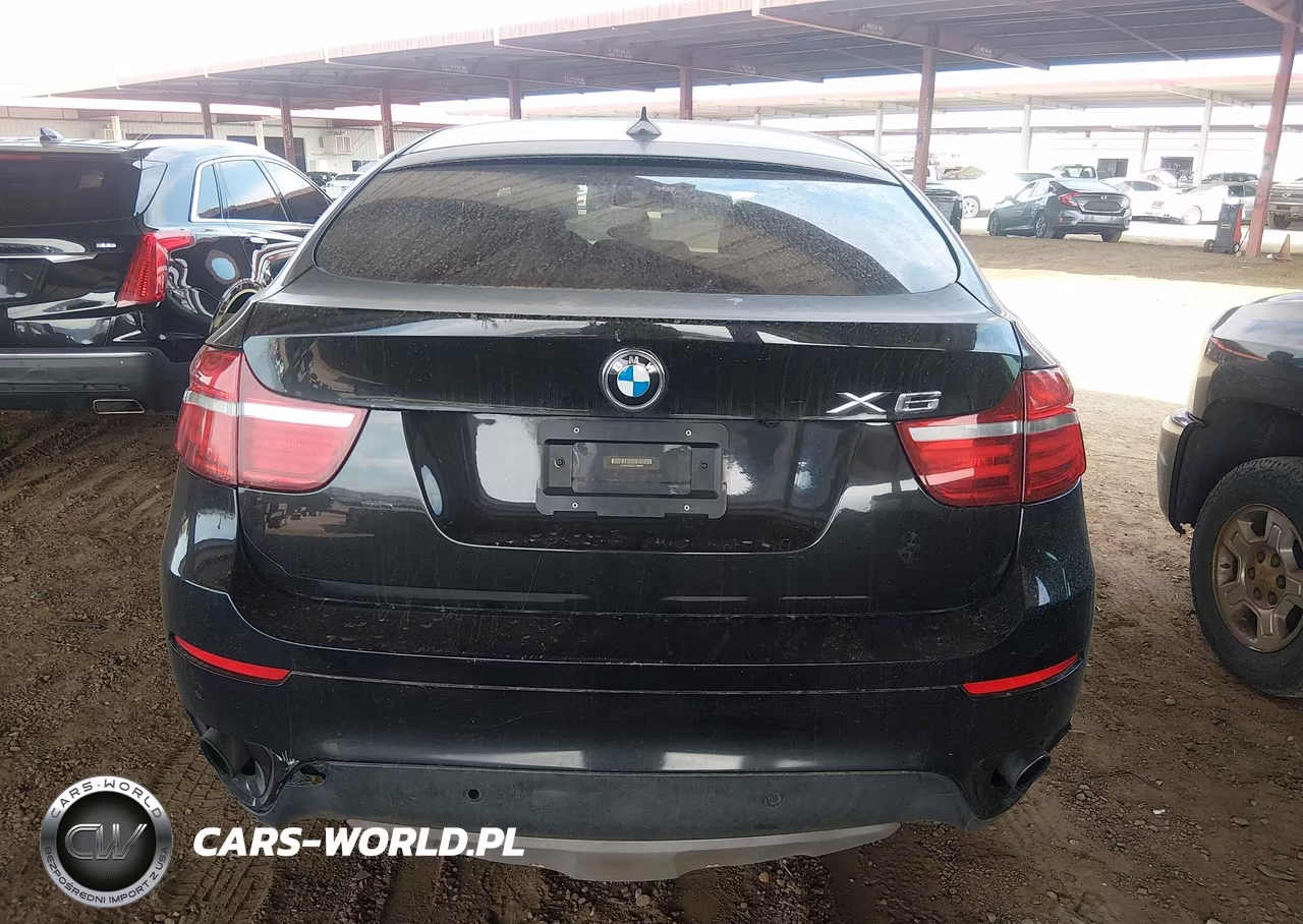 2013 BMW X6 xDrive35I VIN:5UXFG2C55DL784865 - 15
