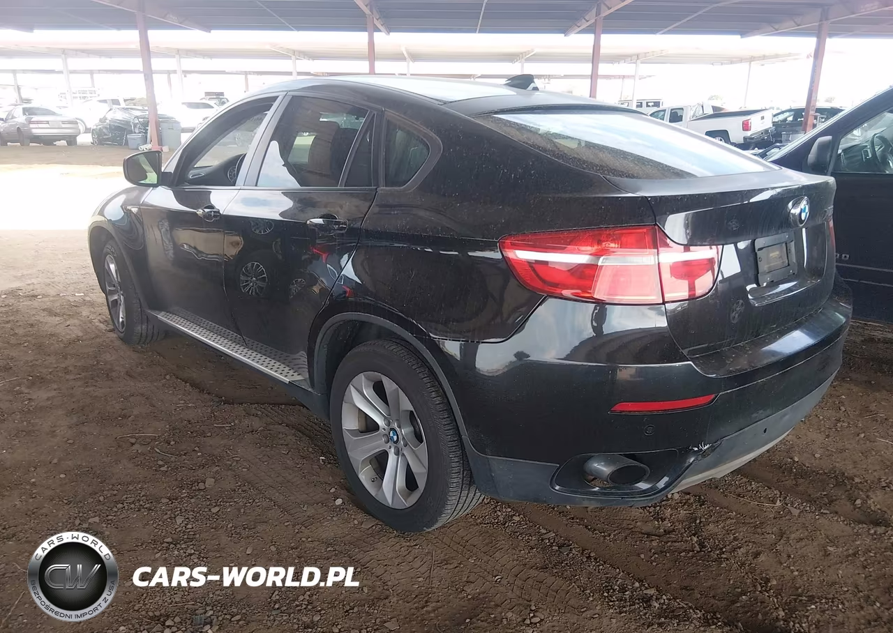 2013 BMW X6 xDrive35I VIN:5UXFG2C55DL784865 - 3