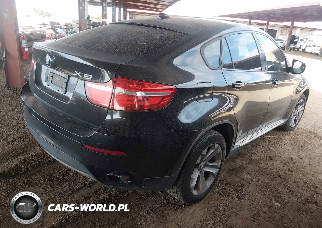 2013 BMW X6 xDrive35I VIN:5UXFG2C55DL784865 - 4