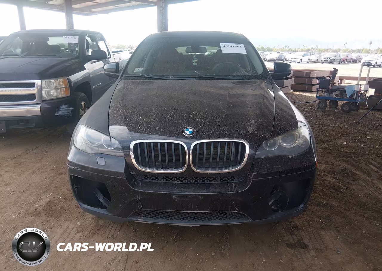 2013 BMW X6 xDrive35I VIN:5UXFG2C55DL784865 - 6