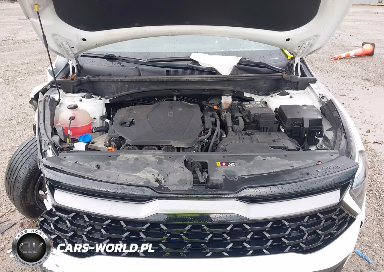 2023 Kia Sportage X-Line VIN:5XYK6CAF0PG068301 - 10