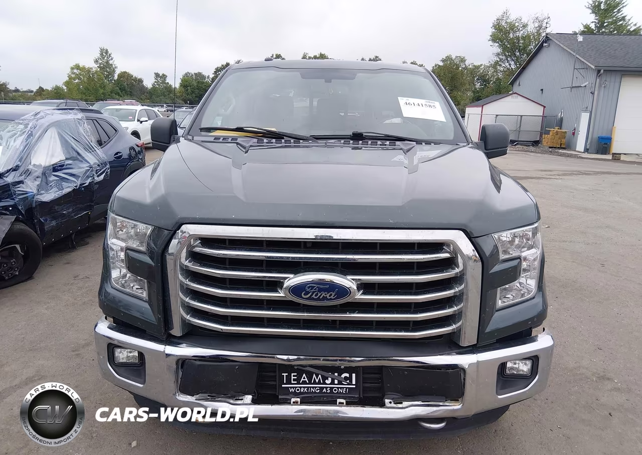 2015 Ford F-150 Xlt VIN:1FTEW1EFXFKF08741 - 12