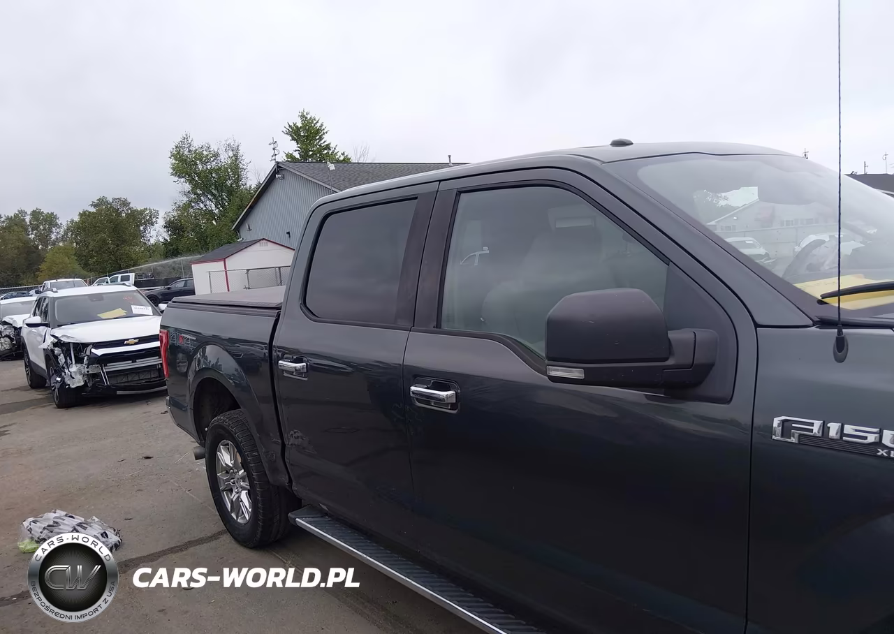 2015 Ford F-150 Xlt VIN:1FTEW1EFXFKF08741 - 13