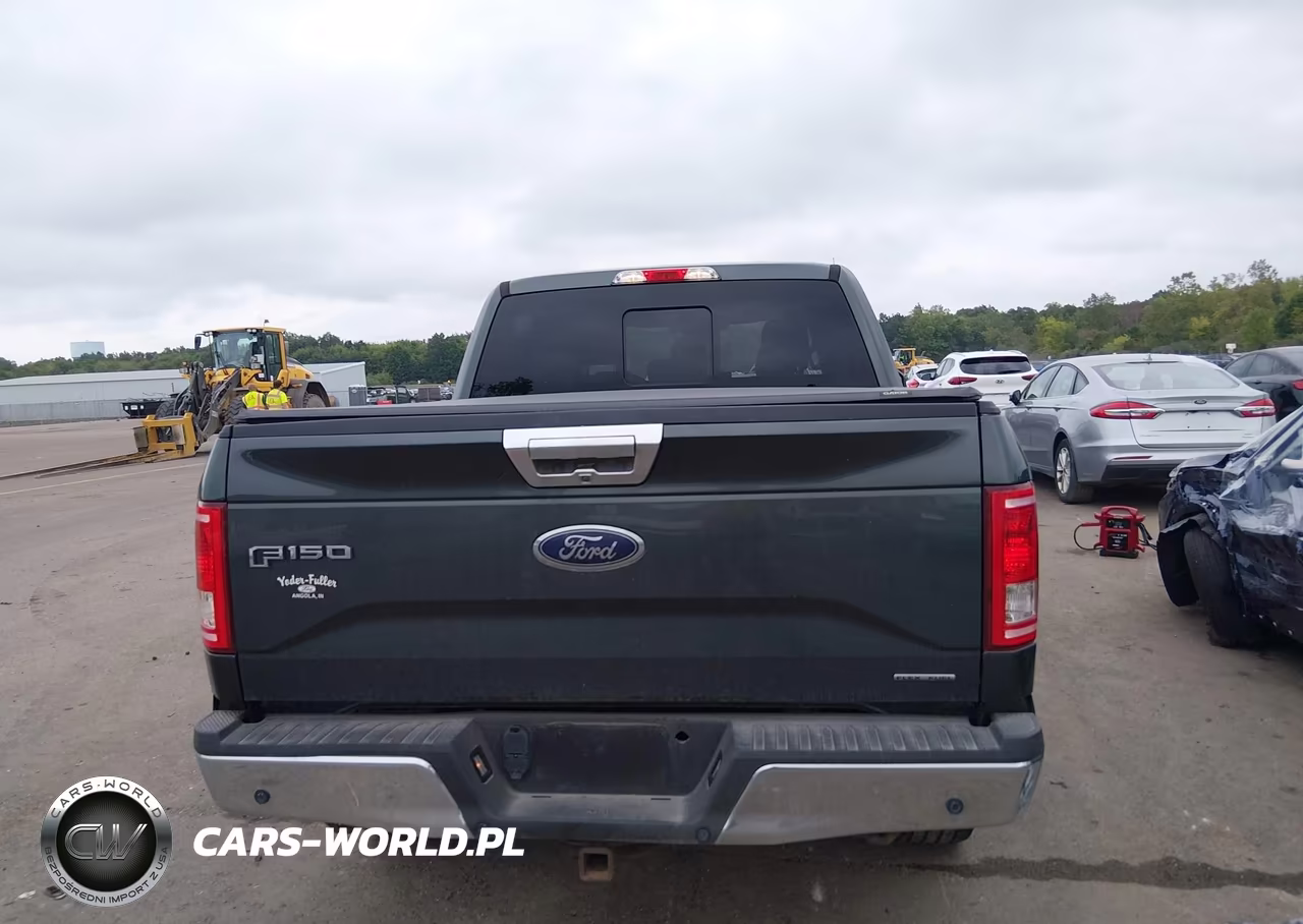 2015 Ford F-150 Xlt VIN:1FTEW1EFXFKF08741 - 16
