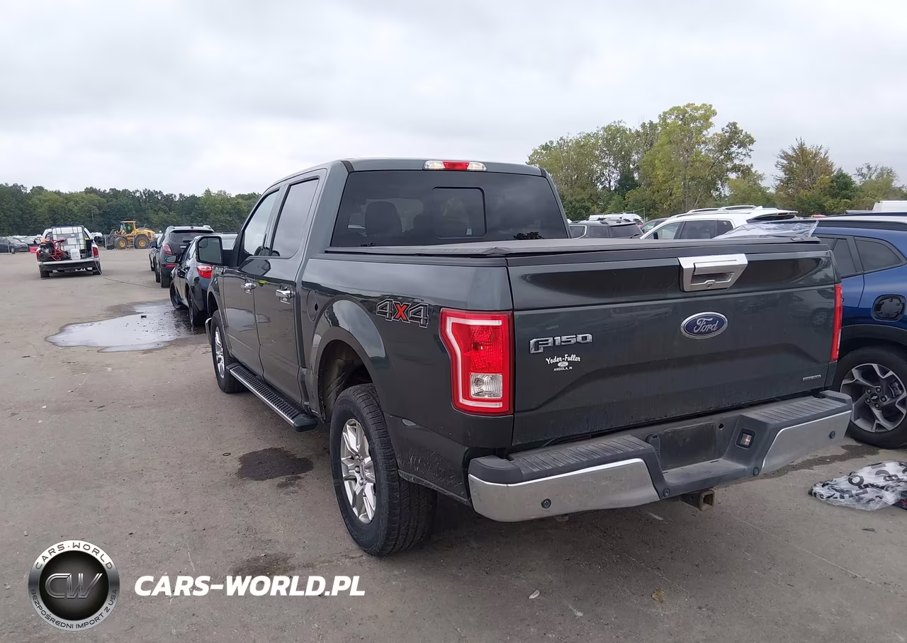 2015 Ford F-150 Xlt VIN:1FTEW1EFXFKF08741 - 3